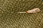 img_3087-v.jpg