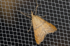 img_4751-v.jpg