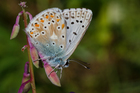 img_8534-v.jpg