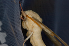 img_2763-v.jpg